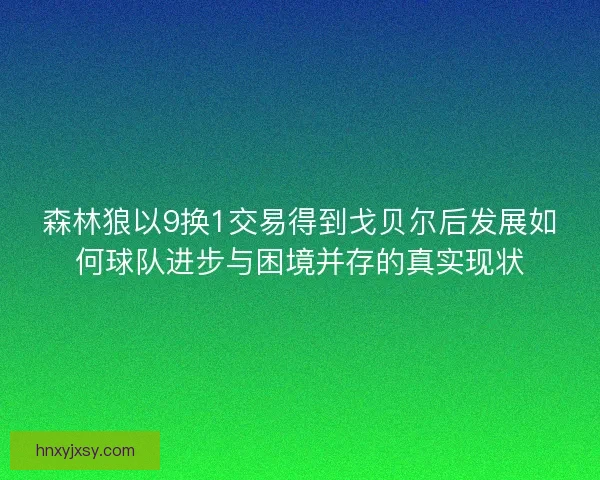 森林狼以9换1交易得到戈贝尔后发展如何球队进步与困境并存的真实现状 森林狼以9换1交易得到戈贝尔后发展如何球队进步与困境并存的真实现状