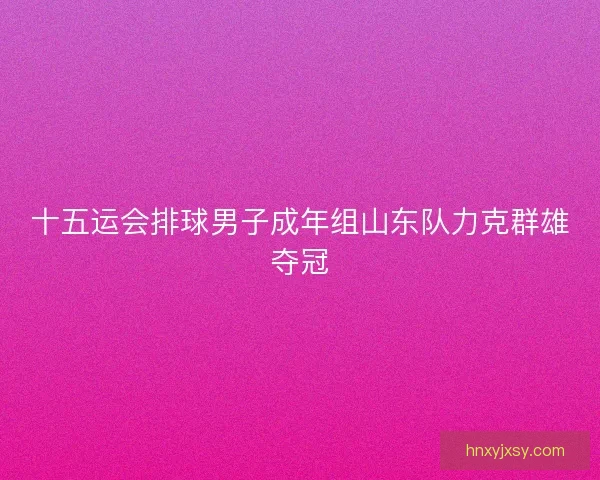 十五运会排球男子成年组山东队力克群雄夺冠
